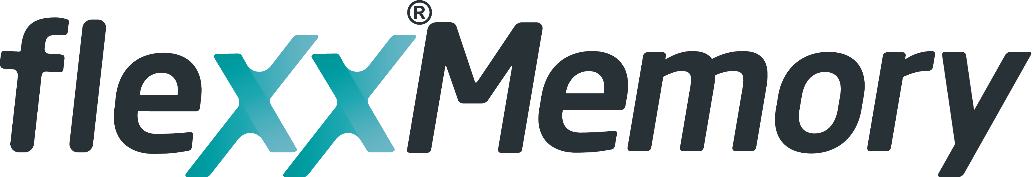 flexxMemory